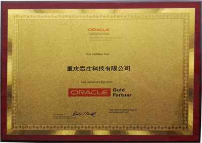 Oracle產(chǎn)品代理與重慶技術(shù)服務(wù) 驅(qū)動企業(yè)數(shù)字化轉(zhuǎn)型的本地化力量