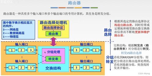 計(jì)算機(jī)網(wǎng)絡(luò)信息管理與服務(wù)在網(wǎng)絡(luò)層中的關(guān)鍵作用