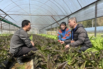鏡頭|田間地頭農(nóng)事忙 下沉監(jiān)督護春耕