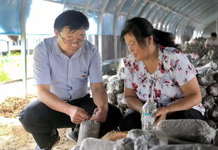 壯麗70年 奮斗新時代 濮陽 讓鄉(xiāng)土人才 香 起來