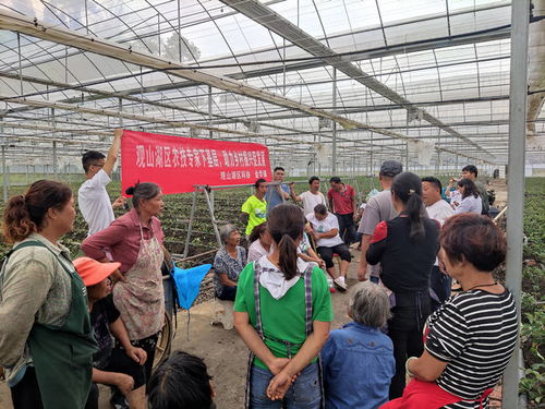 當好鄉(xiāng)村振興 服務員 觀山湖區(qū)科協(xié) 農技專家工作站 助力科技惠農