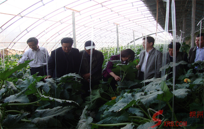 朔州科協(xié)請來專家現(xiàn)場指導科技服務(圖)_市直動態(tài)_朔州頻道_山西新聞網(wǎng) - 主流媒體 山西門戶