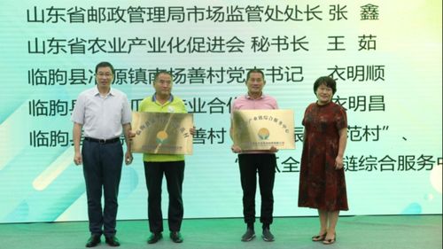 電商 物流 農特產,山東打造鄉村振興數字化創新模式