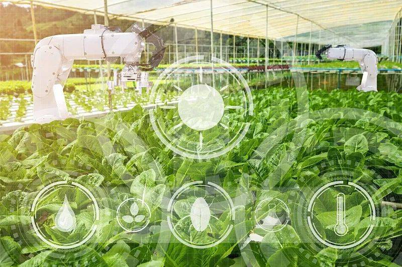 農(nóng)業(yè)科技社會化服務(wù)體系建設(shè)如何加強(qiáng)?七部門發(fā)文部署_推廣