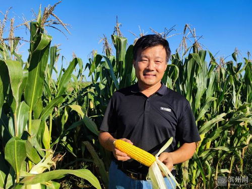 濱州國家農(nóng)業(yè)科技園區(qū)玉米新品種選育項目榮獲市科技進步獎一等獎