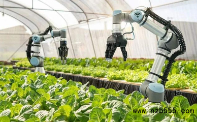 中國智慧農業:政策的寵兒,但還是處于初級階段,未來如何躍遷