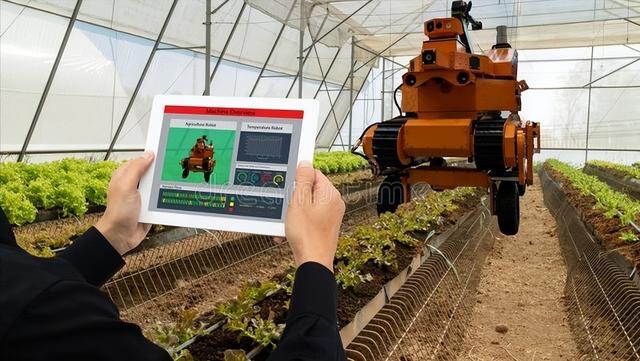 未來農(nóng)村的發(fā)展格局:養(yǎng)老服務(wù),高科技農(nóng)業(yè),機(jī)械化,自動(dòng)化