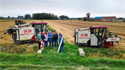 國(guó)網(wǎng)滁州供電公司 奮戰(zhàn) 三夏 保障定遠(yuǎn)138萬畝小麥顆粒歸倉(cāng)