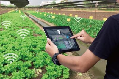 麥麥科技獲數(shù)千萬元天使輪融資 發(fā)展ToB端智慧農(nóng)業(yè)科技服務(wù)平臺(tái)