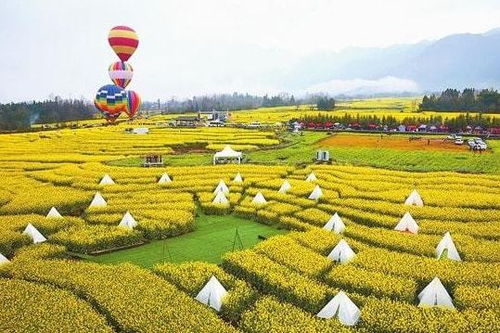 政策 國家發(fā)力農(nóng)業(yè)服務(wù)創(chuàng)新 溫氏 樓房養(yǎng)豬仍處于試驗(yàn)階段