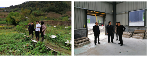 農生學院組織&ldquo;專家團隊&rdquo;深入企業開展科技服務