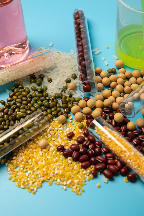 五谷食品安全農業科技食品培育攝影圖 插畫 下載至來源處