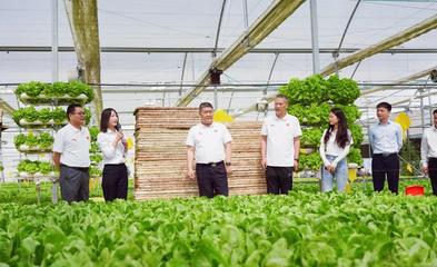 服務(wù)三農(nóng) 助力鄉(xiāng)村振興 河南日?qǐng)?bào)社南陽分社黨支部聯(lián)合內(nèi)鄉(xiāng)縣中以高效農(nóng)業(yè)科技開發(fā)黨支部開展主題黨日活動(dòng)