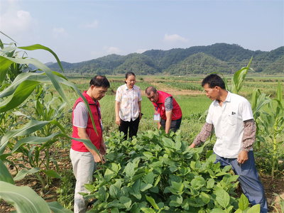 黨建引領鄉村振興 | 橫州市農業農村局農科干部下沉鄉村開展秋季種養生產技術指導