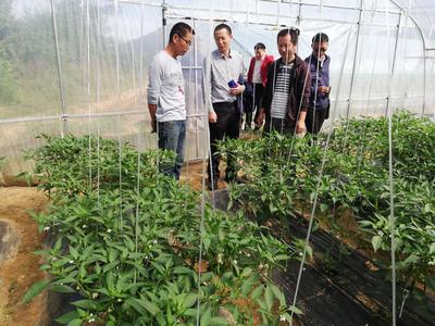 湖北省科學(xué)技術(shù)協(xié)會