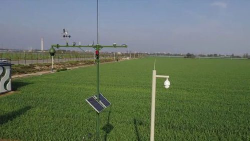 縣科技局 強(qiáng)化農(nóng)業(yè)科技服務(wù) 為鄉(xiāng)村振興添翼加速