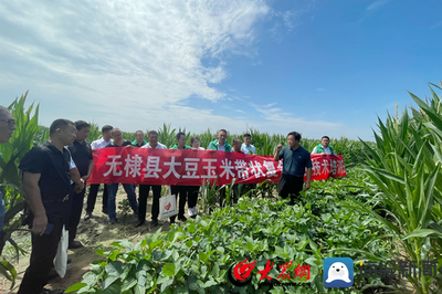 無棣縣科技特派員送“技”到田間，助力農業科技服務升級
